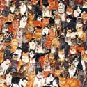 Cats image 1